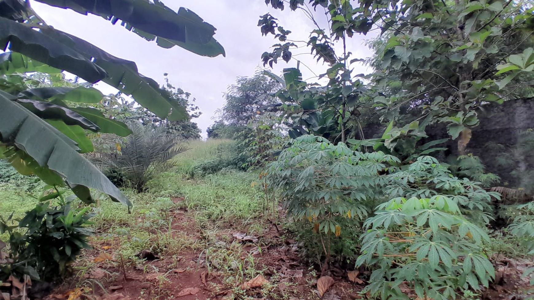 Tanah Strategis di Cikeas udik cocok  untuk restoran perkantoran gudang dll