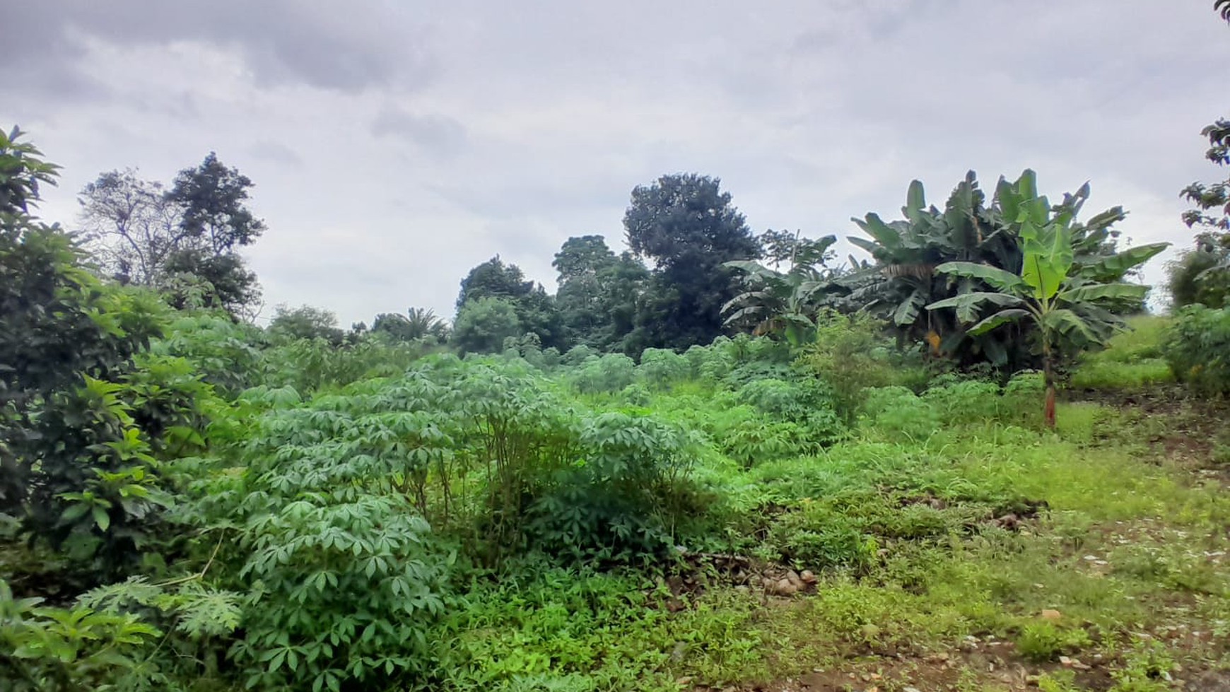 Tanah Strategis di Cikeas udik cocok  untuk restoran perkantoran gudang dll