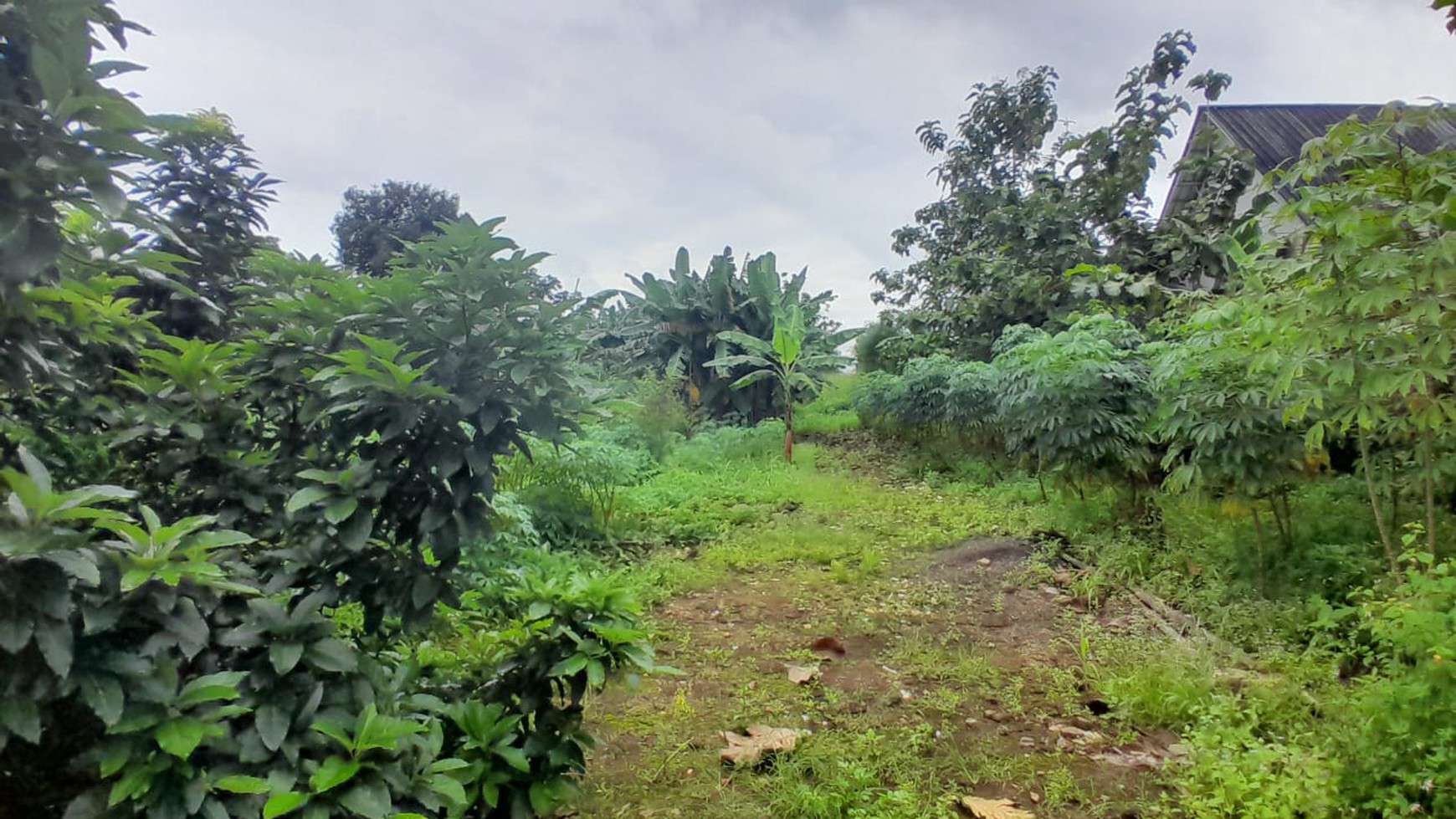 Tanah Strategis di Cikeas udik cocok  untuk restoran perkantoran gudang dll