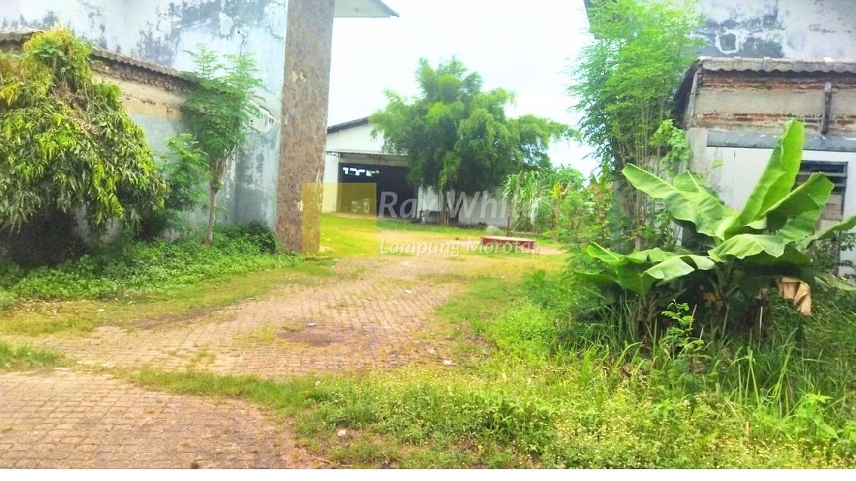 Tanah dan Bangunan Jalan Protokol Pelabuhan Panjang