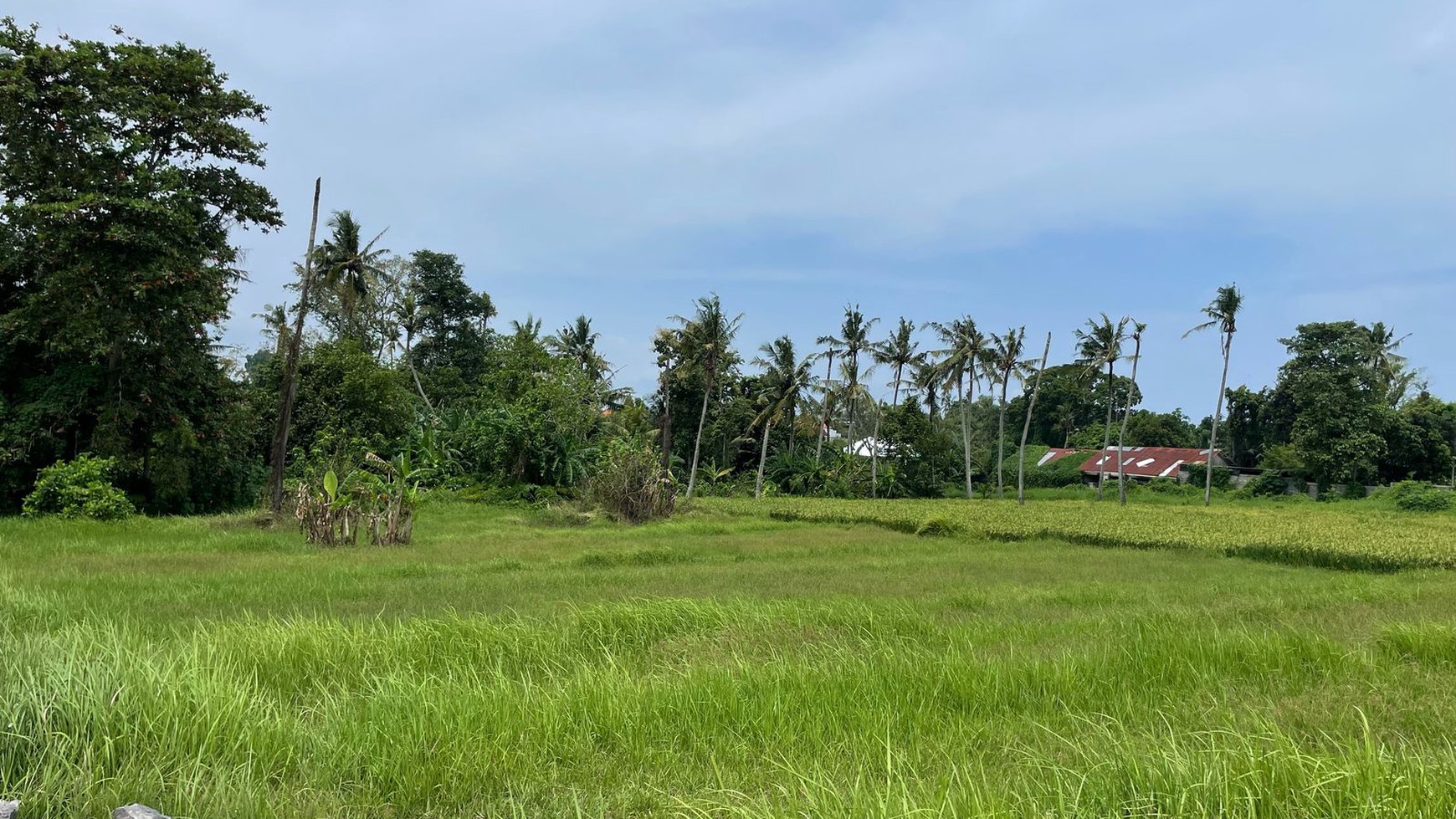 Premium land near Nyanyi Beach