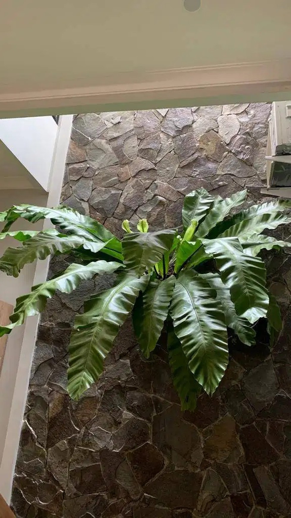 Dijual Rumah SIap Huni Di Kawasan Taman Widya Asri , Serang - Banten