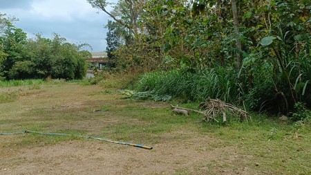 Tanah Harga Terjangau 267 Meter Persegi Lokasi Pengasih Kulon Progo