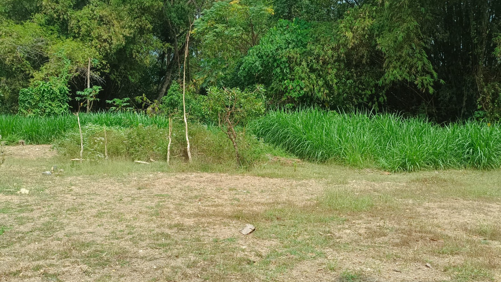 Tanah Harga Terjangau 267 Meter Persegi Lokasi Pengasih Kulon Progo
