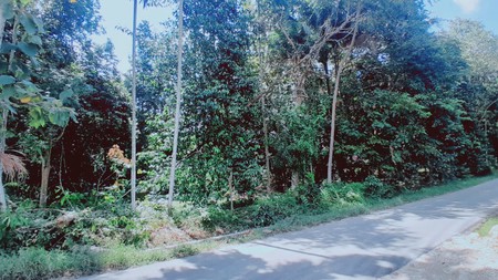 Dijual Tanah Murah 7,5 Hektar di Tanjung Bintang, Lamsel