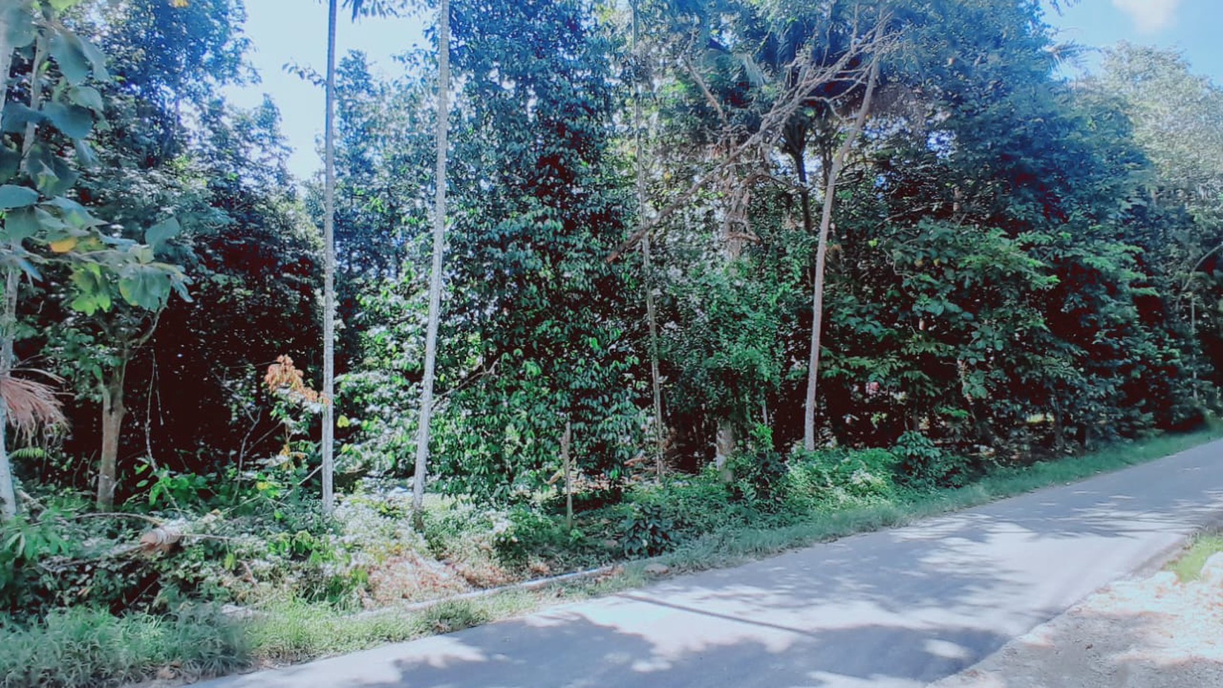 Dijual Tanah Murah 7,5 Hektar di Tanjung Bintang, Lamsel