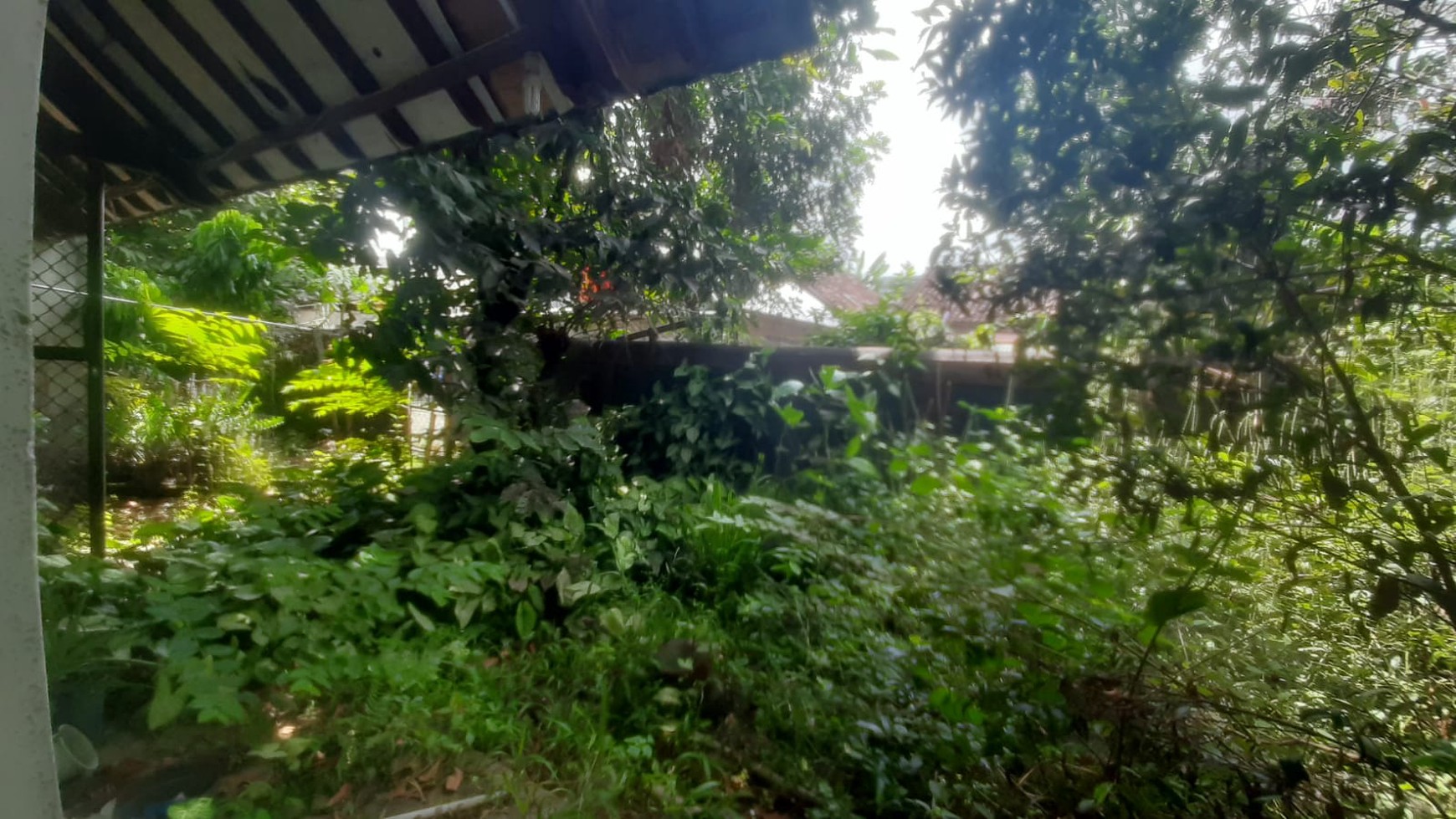 Rumah Furnish Lokasi Strategis Dekat Pasar Kolombo Condongcatur Depok Sleman