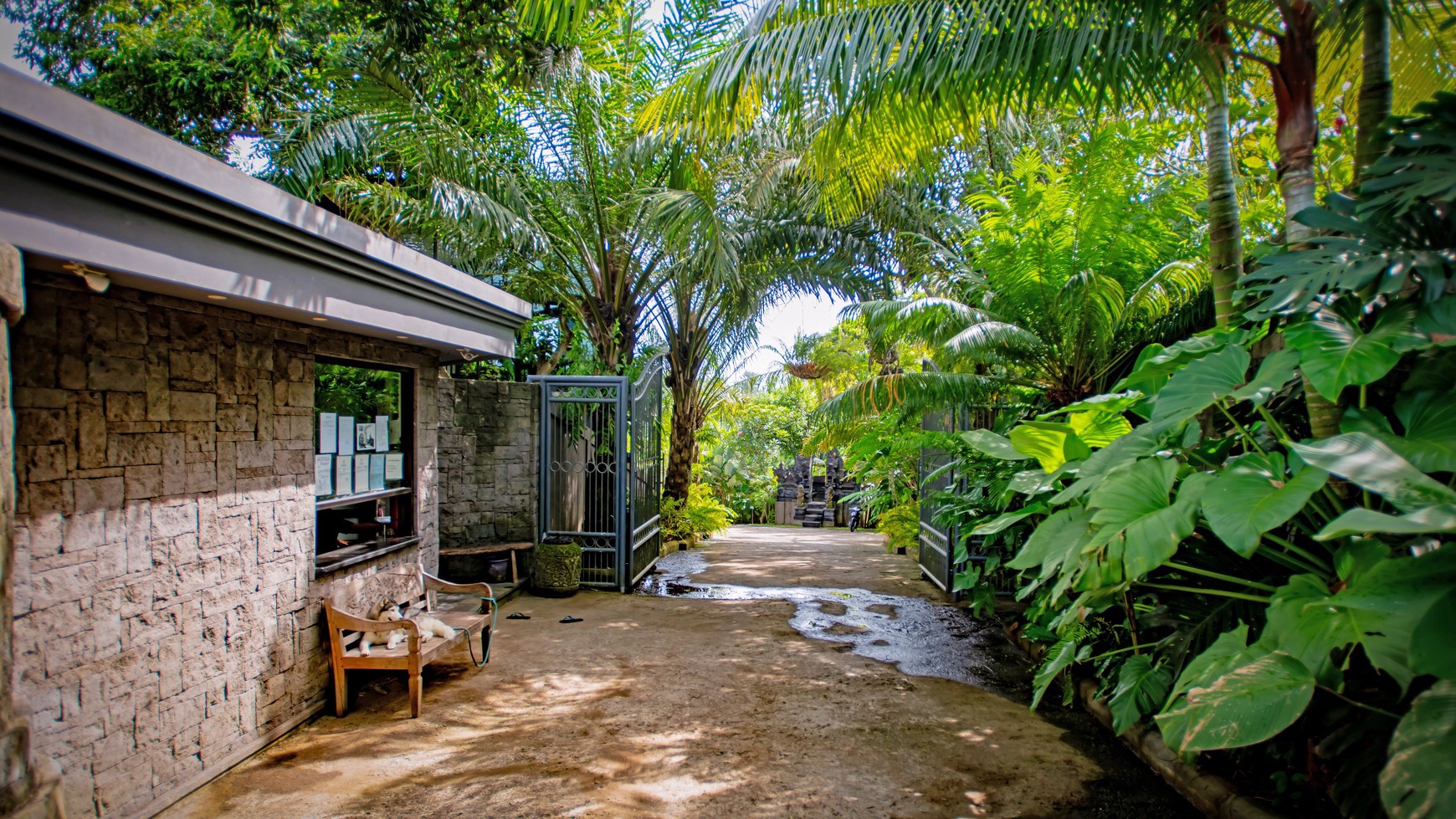 Leasehold - Premium Factory & Living Space with Stunning River Valley Views in Bali