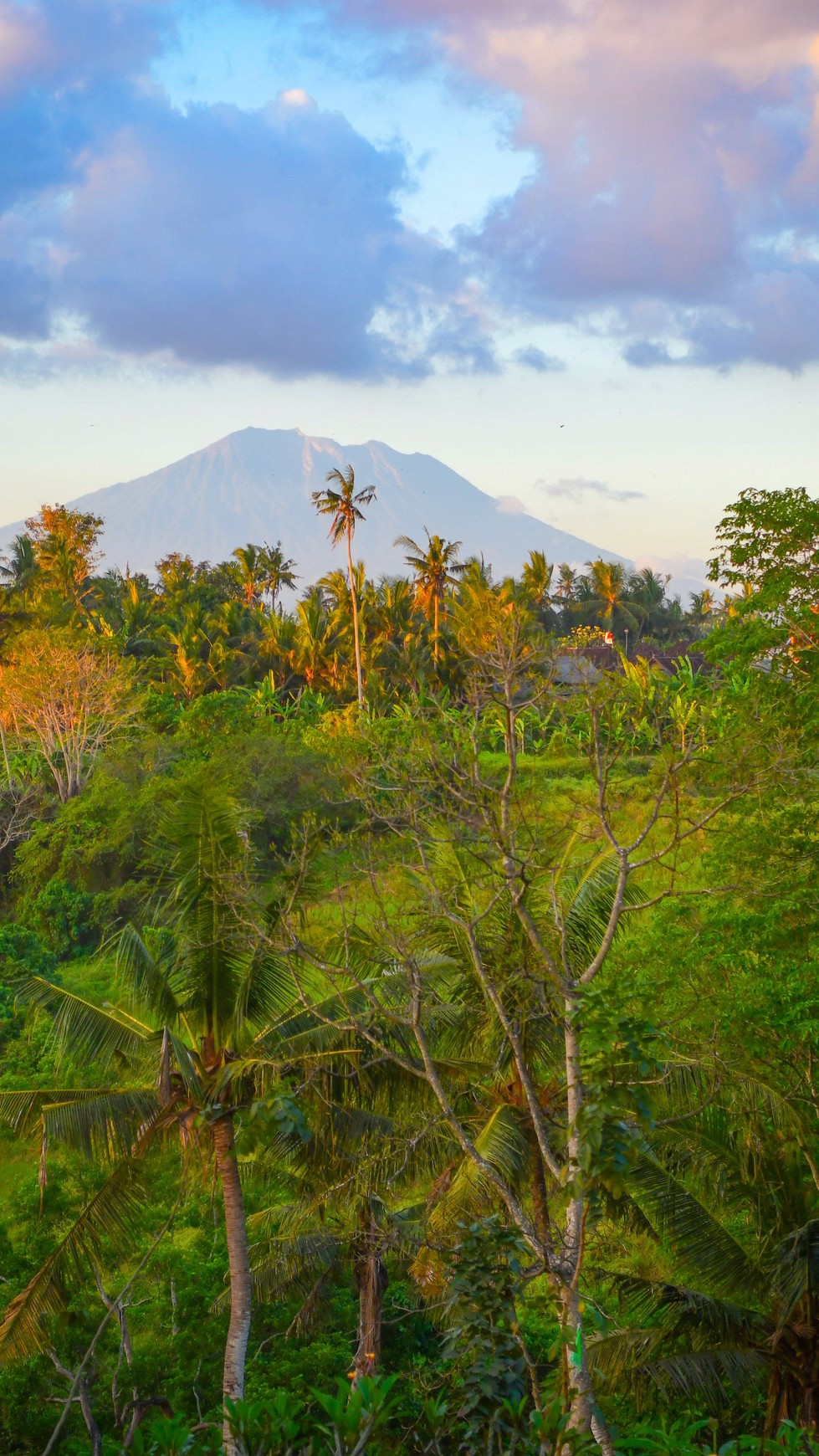 Leasehold - Premium Factory & Living Space with Stunning River Valley Views in Bali