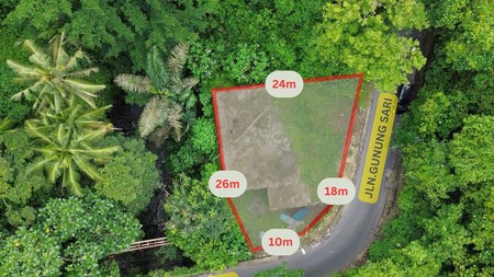 Premium Freehold Land for Sale - Prime Commercial Location in Ubud Center