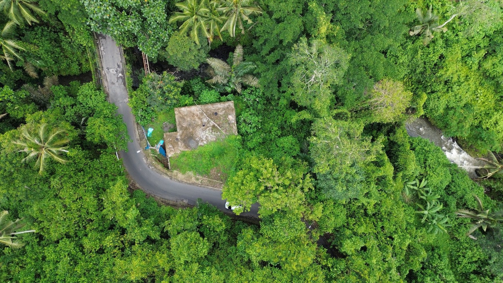 Premium Freehold Land for Sale - Prime Commercial Location in Ubud Center