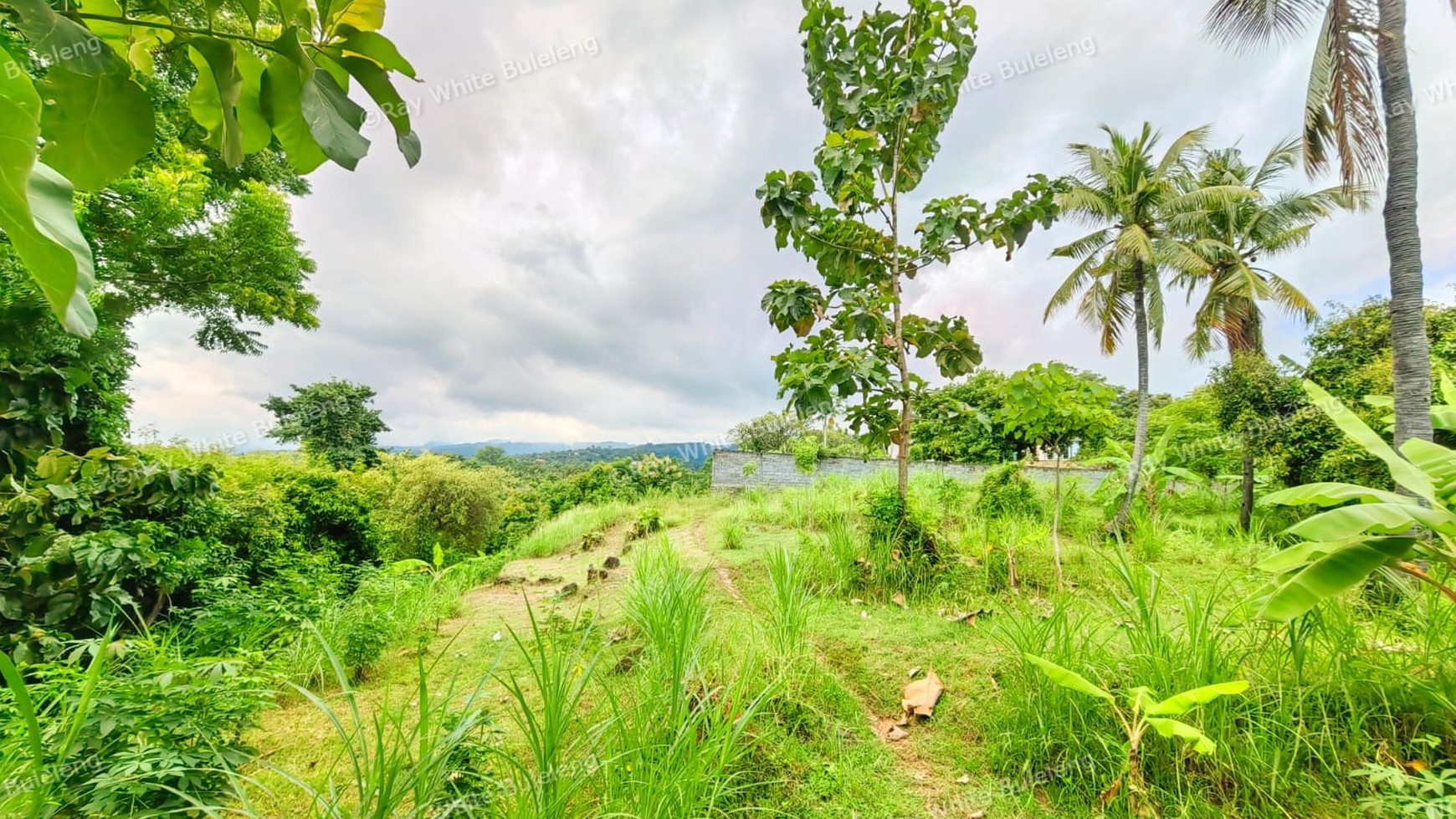 1500 SQM LAND IN KAYU PUTIH - IDEAL LOCATION NEAR LOVINA BEACH