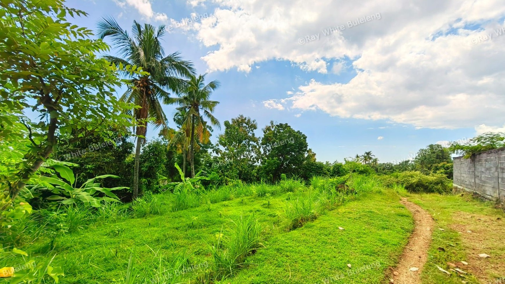 1500 SQM LAND IN KAYU PUTIH - IDEAL LOCATION NEAR LOVINA BEACH