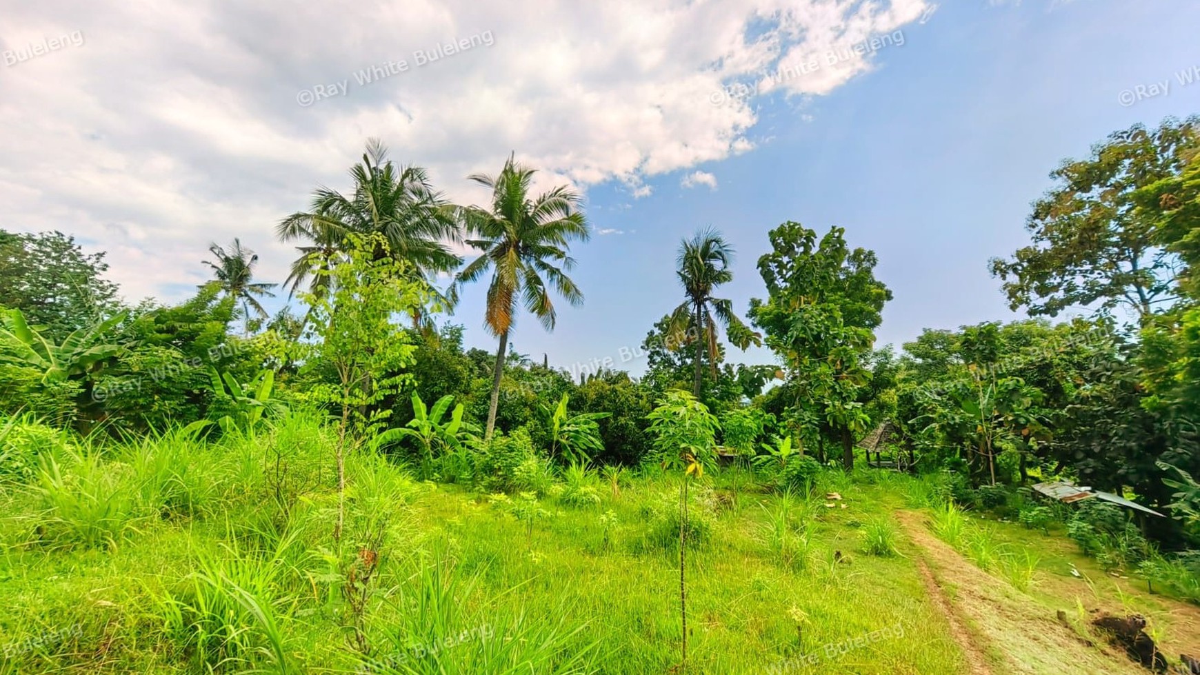 1500 SQM LAND IN KAYU PUTIH - IDEAL LOCATION NEAR LOVINA BEACH
