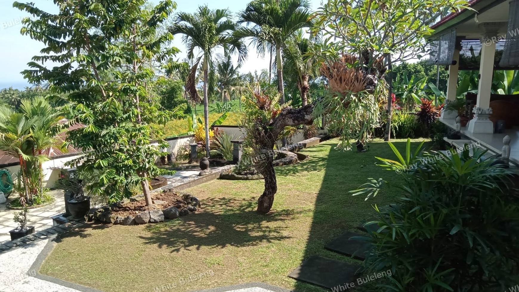 HILLSIDE VILLA IN PANJI WITH GUEST HOUSES AND BEAUTIFUL VIEW