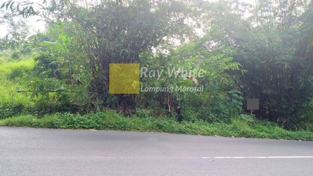 Dijual Tanah Bandar Lampung