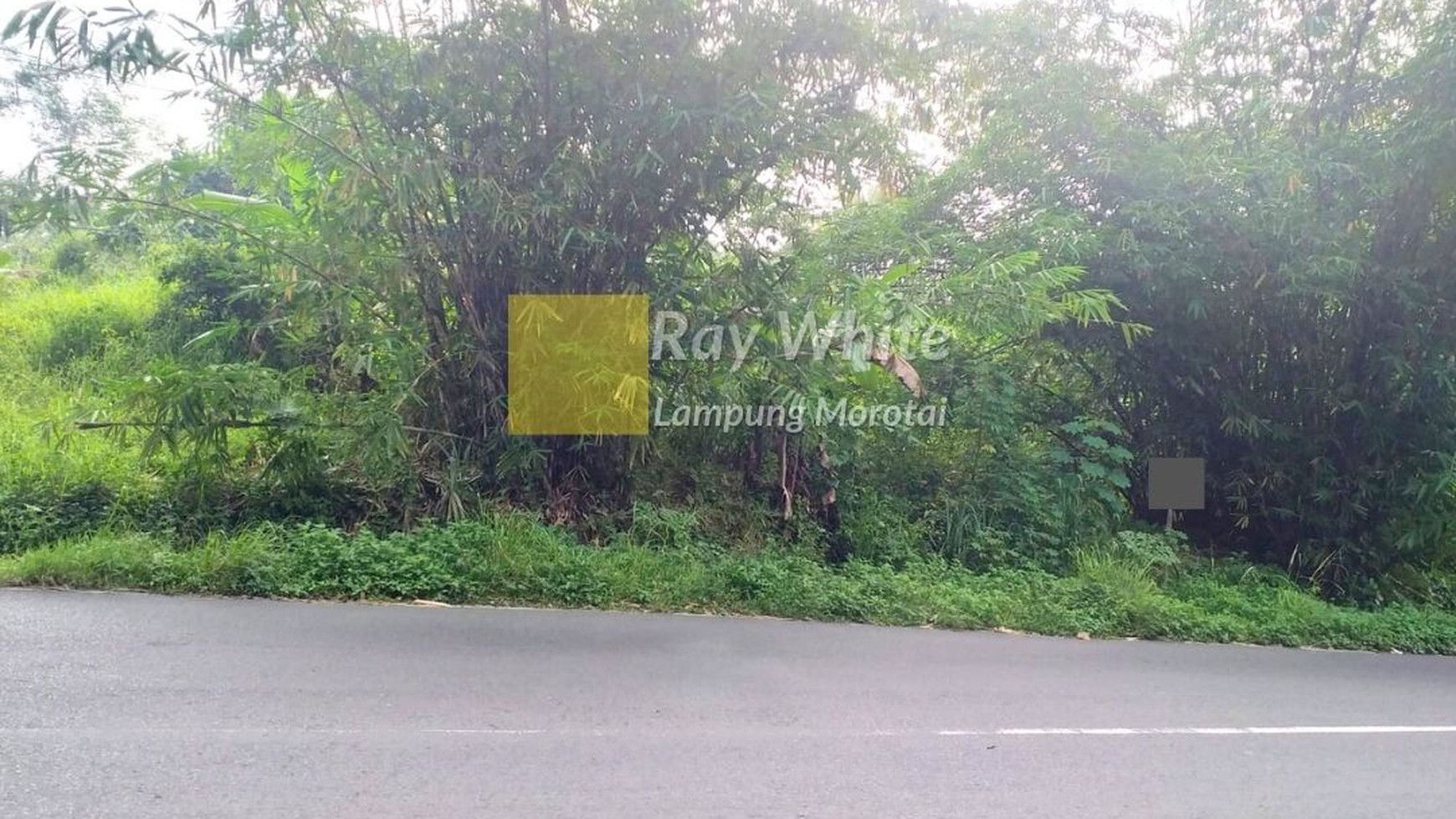 Dijual Tanah Bandar Lampung