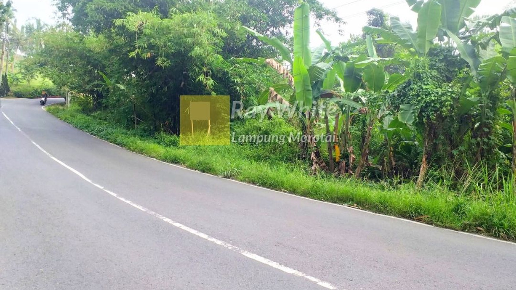 Dijual Tanah Bandar Lampung