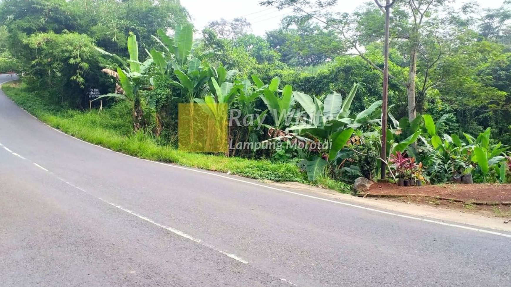 Dijual Tanah Bandar Lampung