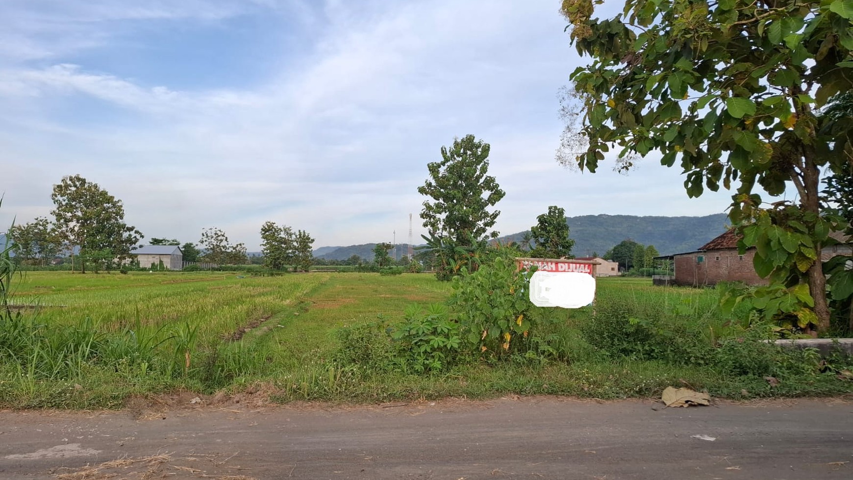 Tanah Sawah Luas 601 Meter Persegi Lokasi di Daerah Pundong Bantul 
