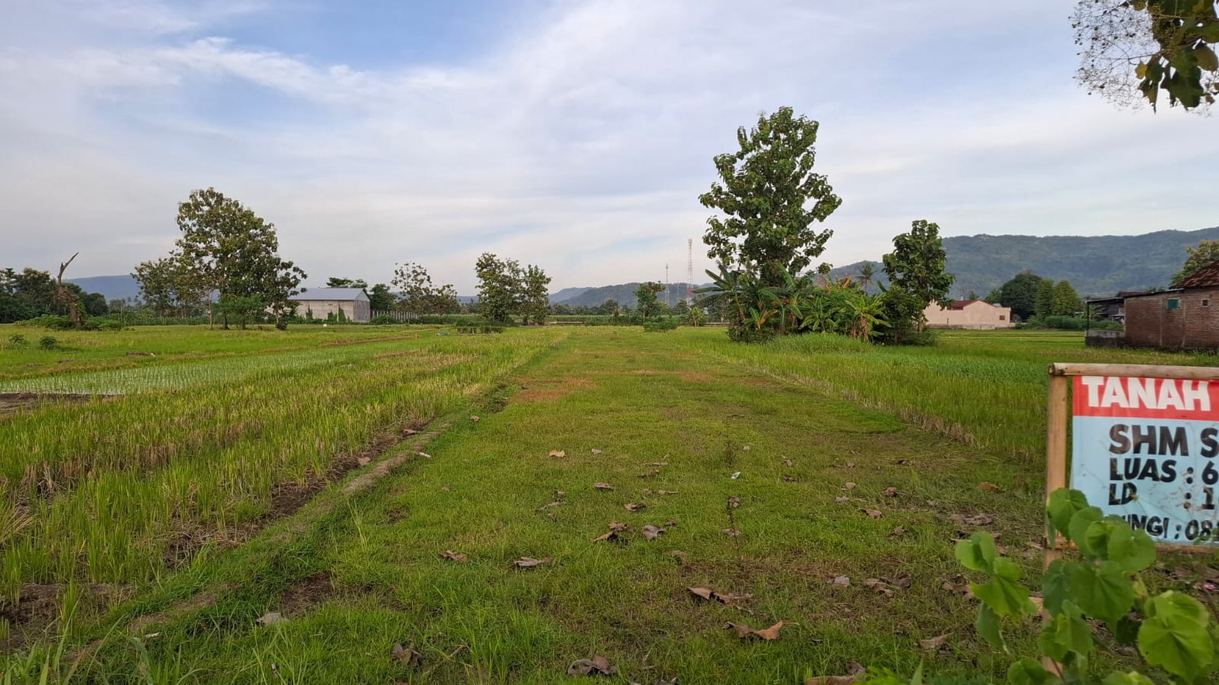 Tanah Sawah Luas 601 Meter Persegi Lokasi di Daerah Pundong Bantul 