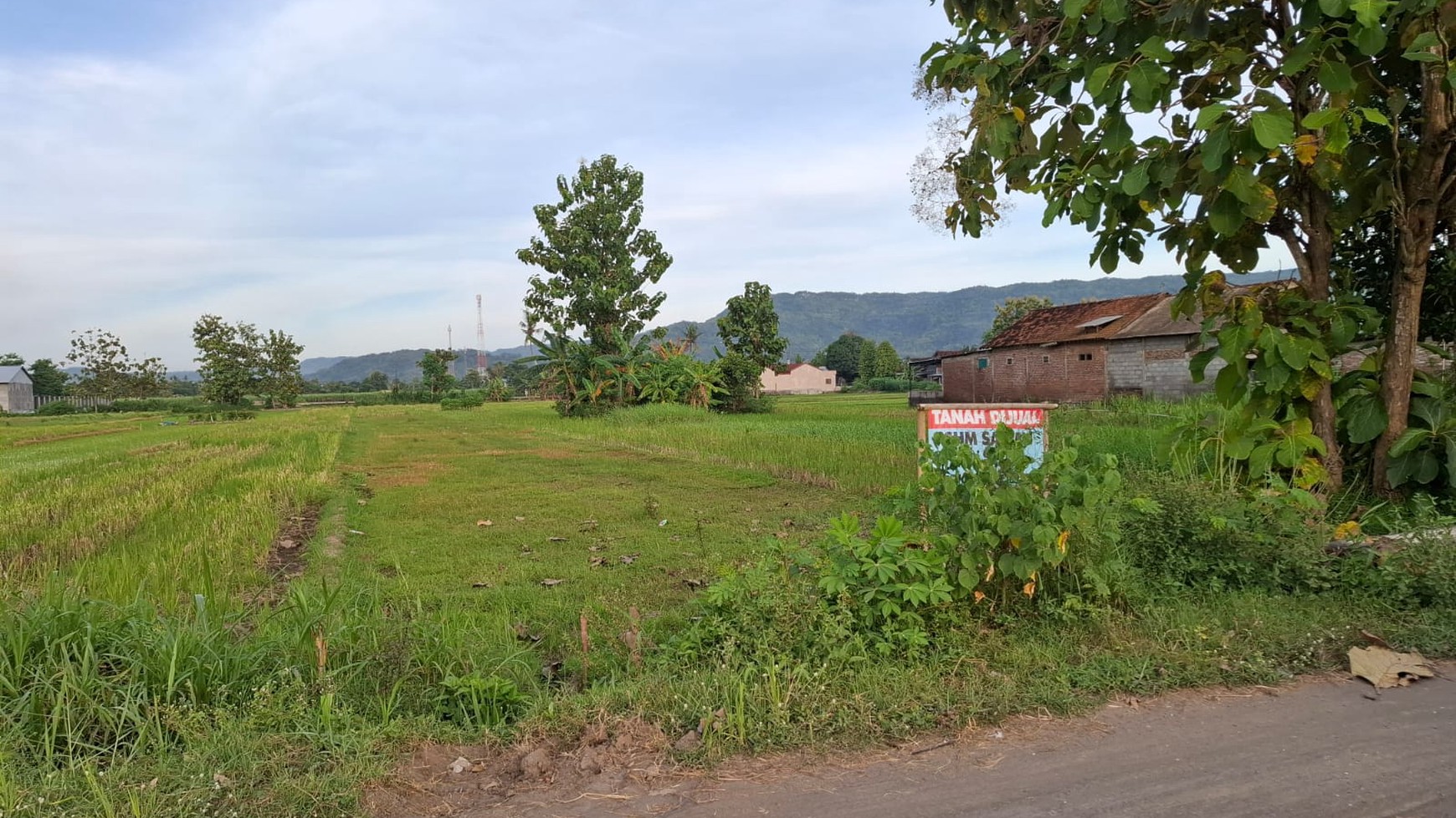 Tanah Sawah Luas 601 Meter Persegi Lokasi di Daerah Pundong Bantul 