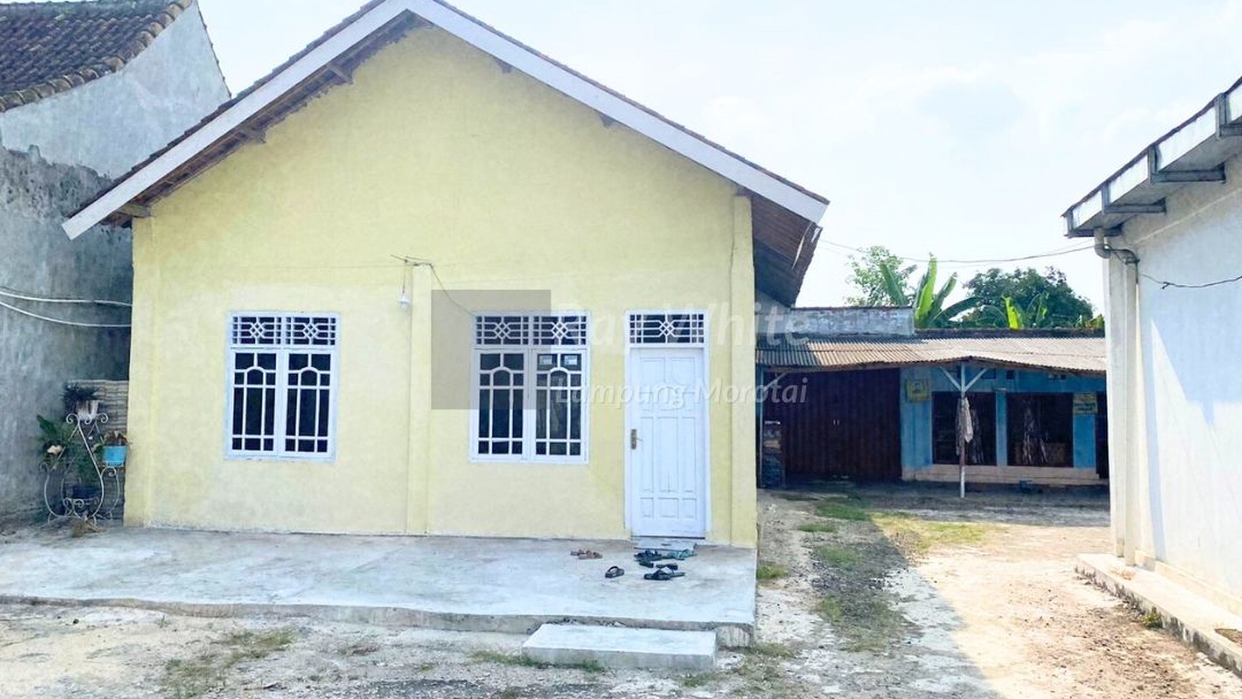 Tanah Dijual Lokasi Gunung Sugih Seputih Jaya