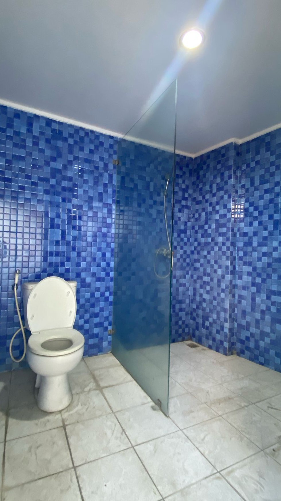 Rumah Mewah di Kawasan Premium Kebayoran Bintaro - Bintaro Jaya 