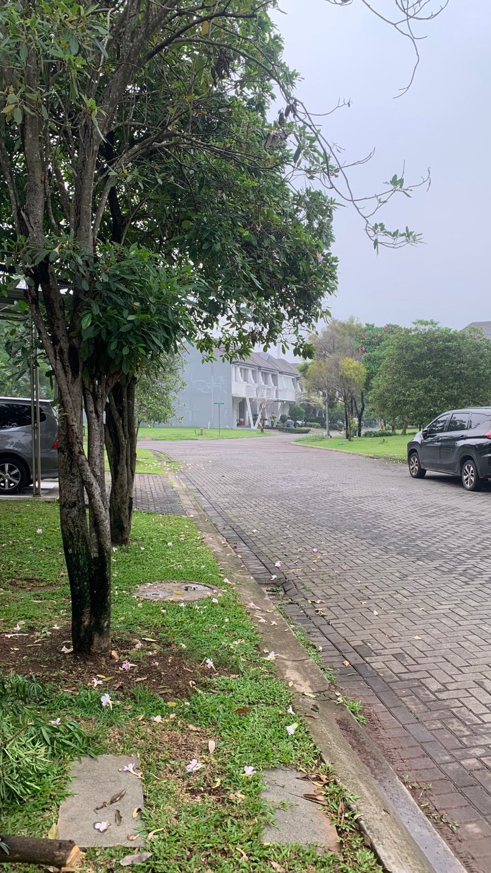 Dijual Rumah di Vivacia The Eminent BSD City Dekat Dengan Sekolah dan Universitas