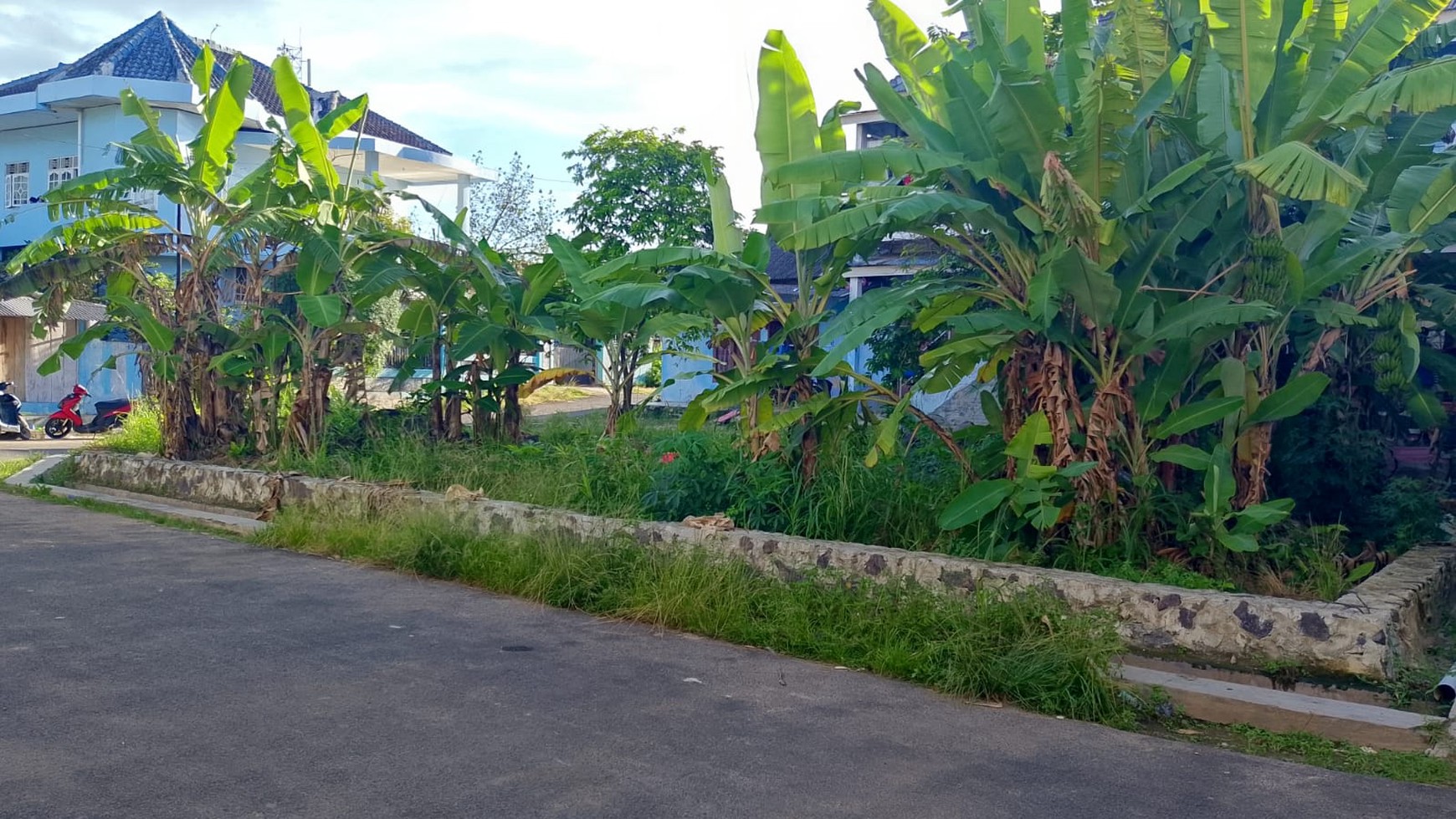 Dijual Tanah di Tanjung Gading, Kedamaian