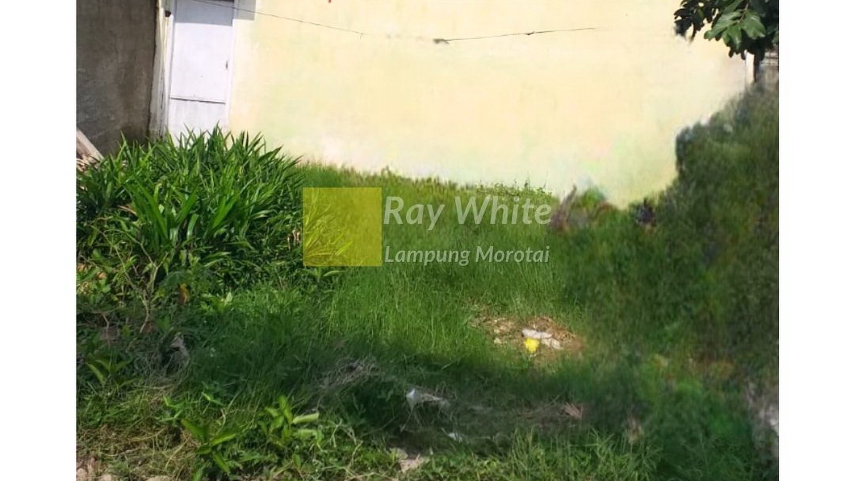 Dijual rumah dengan halaman luas