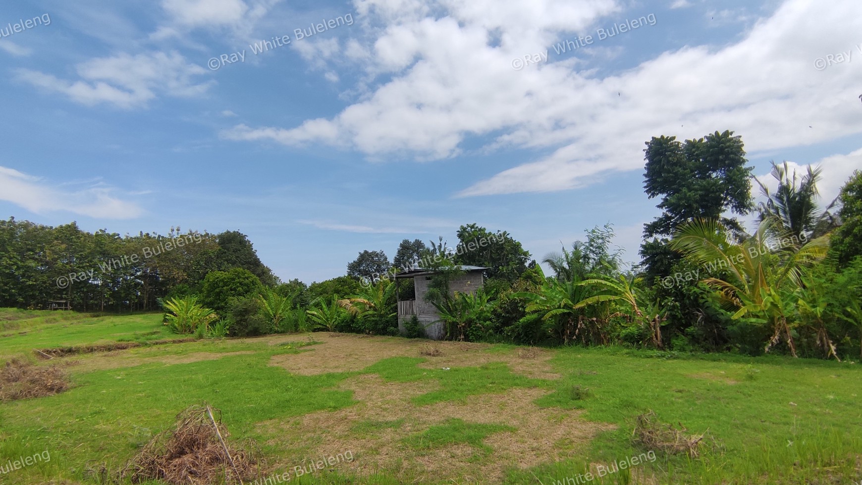 940 SQM FREEHOLD LAND IN LOVINA