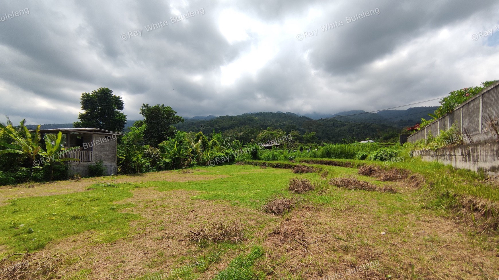 940 SQM FREEHOLD LAND IN LOVINA