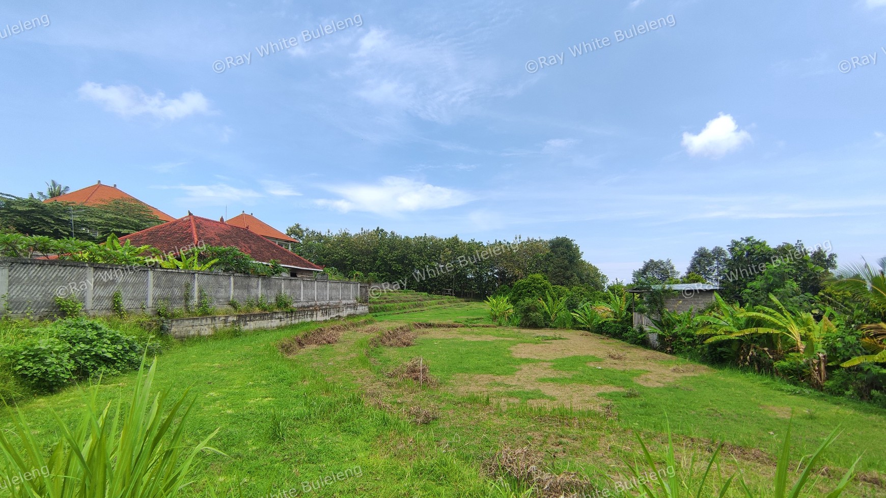 940 SQM FREEHOLD LAND IN LOVINA
