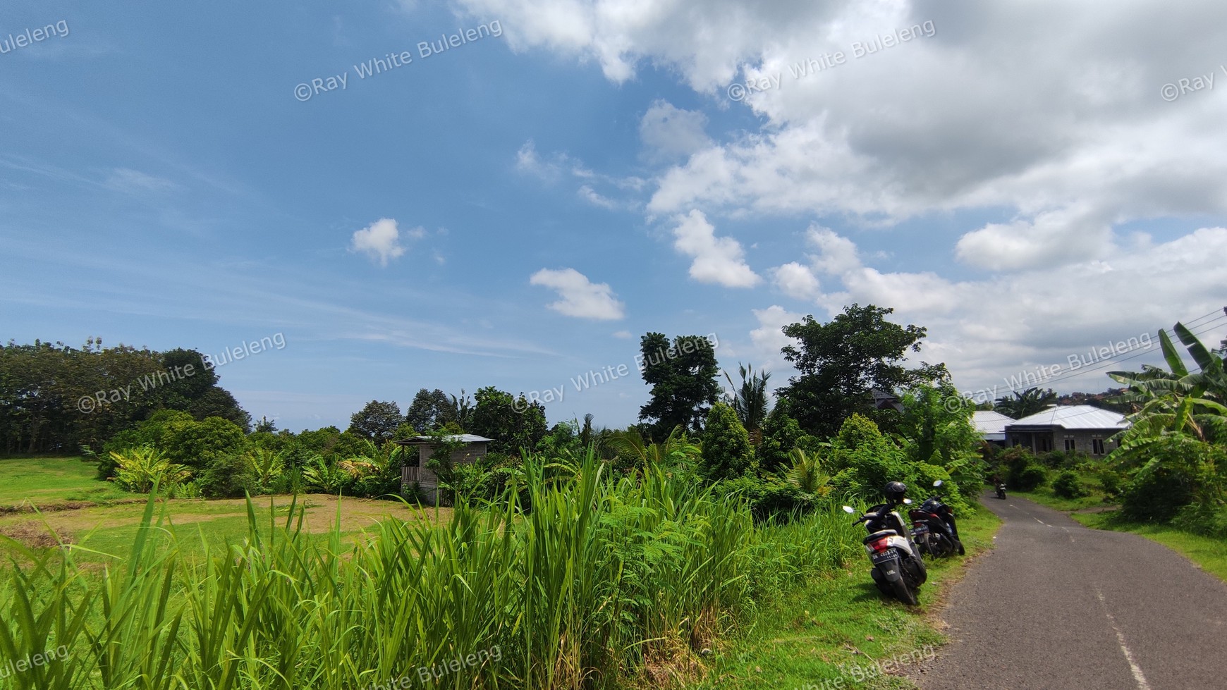 940 SQM FREEHOLD LAND IN LOVINA