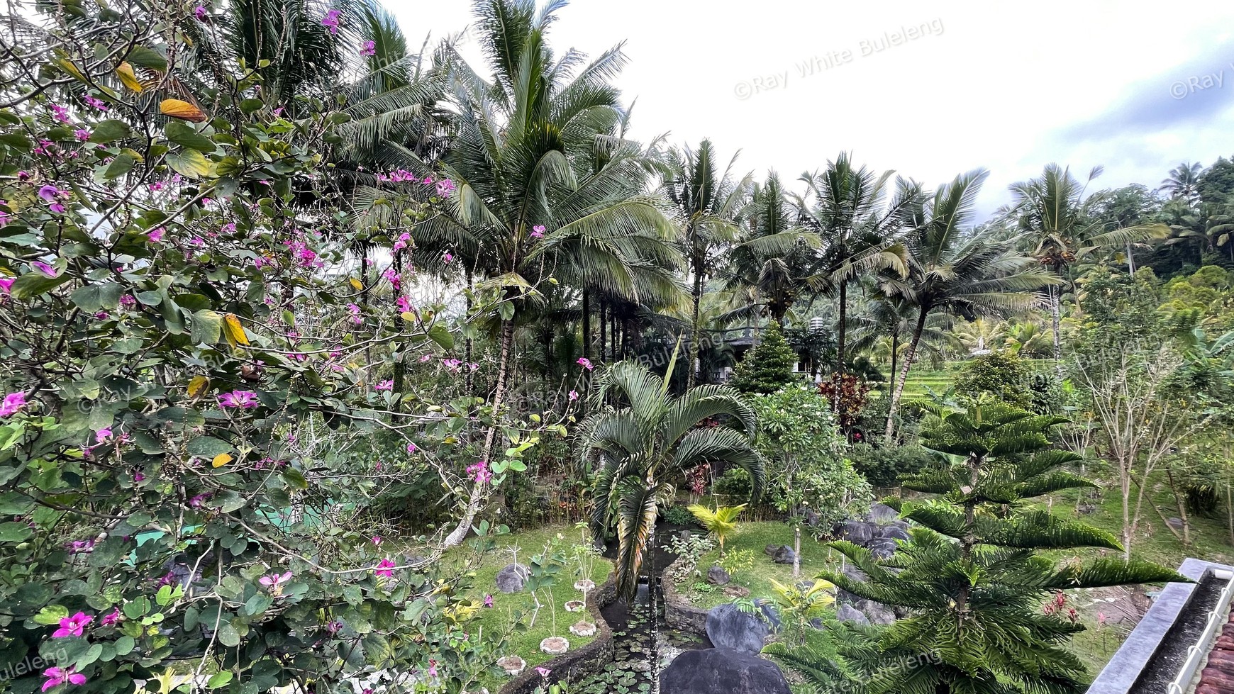 A HOUSE WITH RICEFIELD VIEW IN SERIRIT