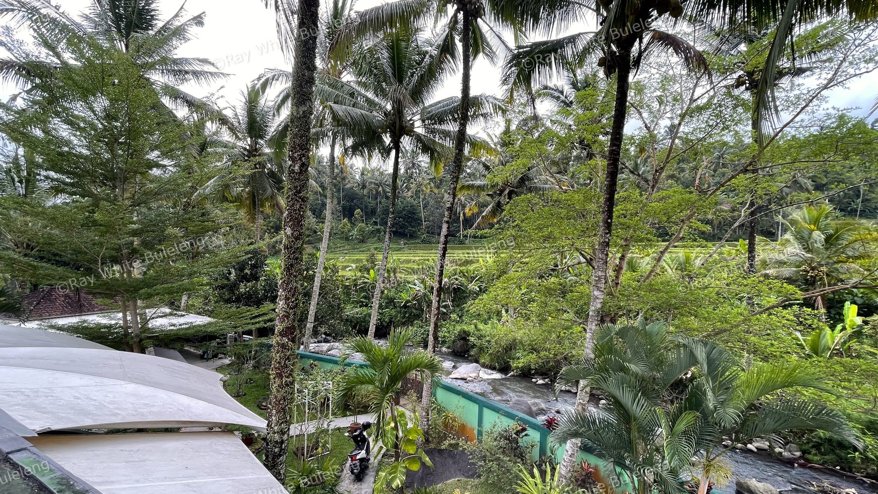 A HOUSE WITH RICEFIELD VIEW IN SERIRIT
