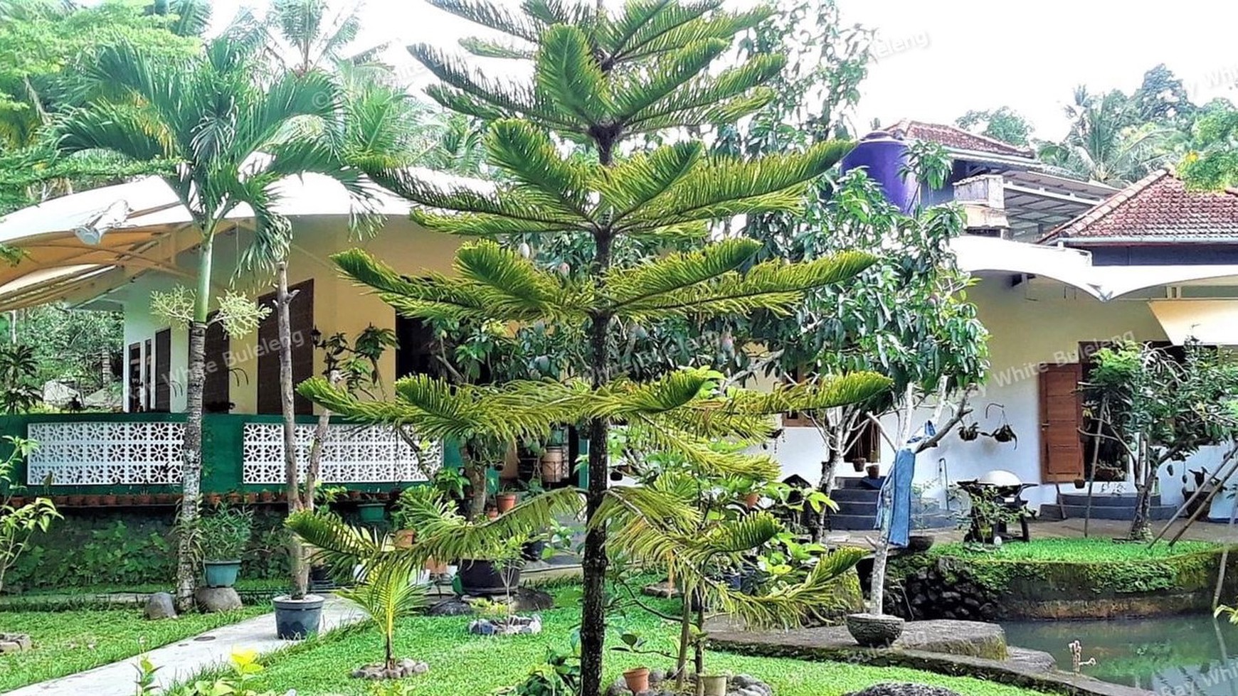 A HOUSE WITH RICEFIELD VIEW IN SERIRIT