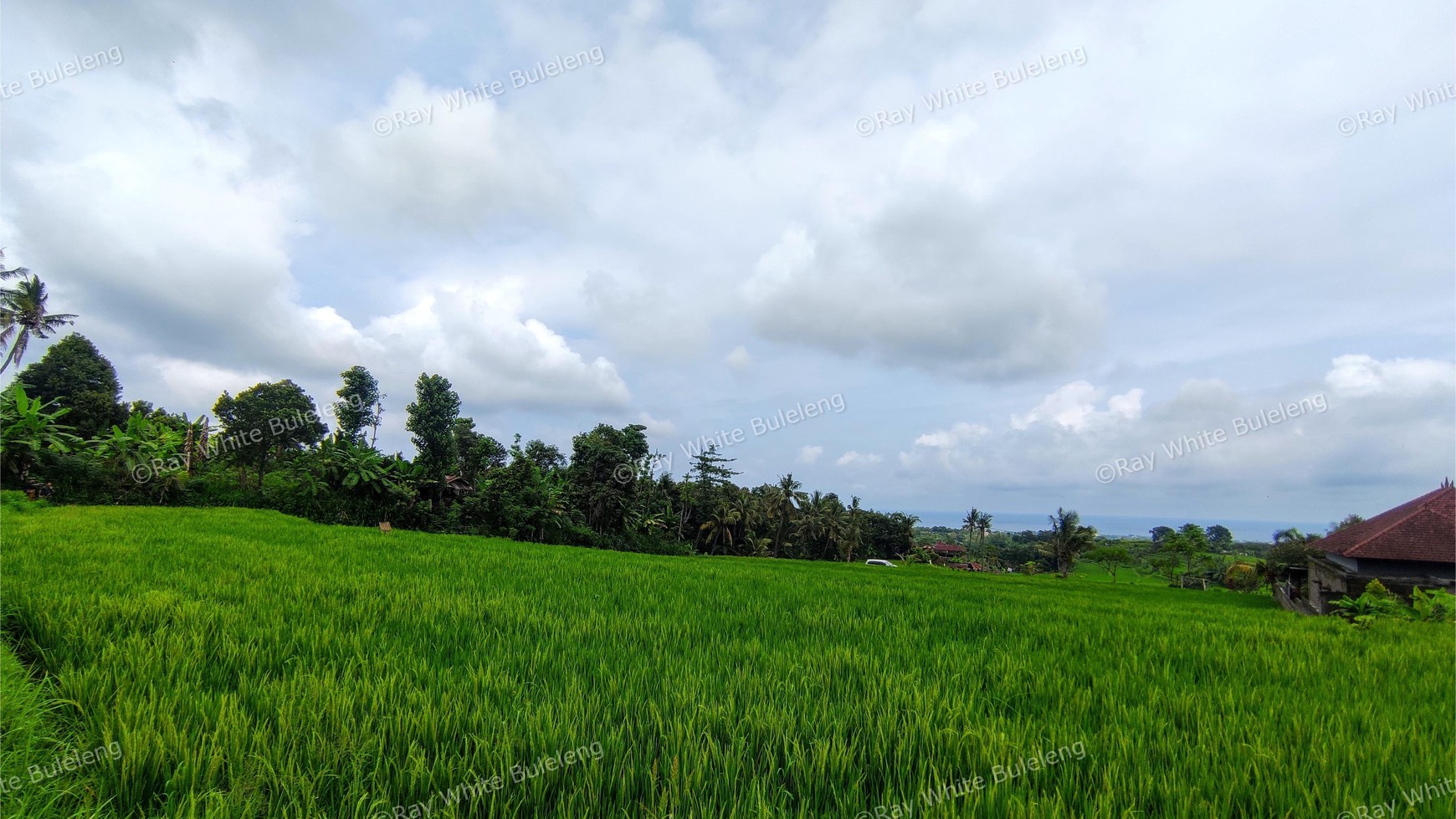 FREEHOLD OCEAN VIEW LAND IN LOVINA