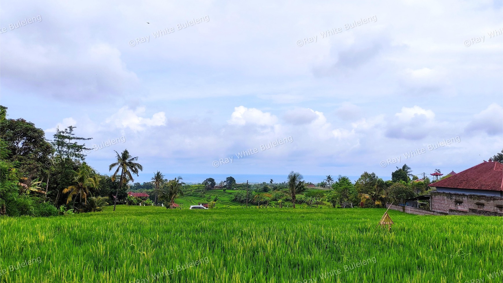 FREEHOLD OCEAN VIEW LAND IN LOVINA