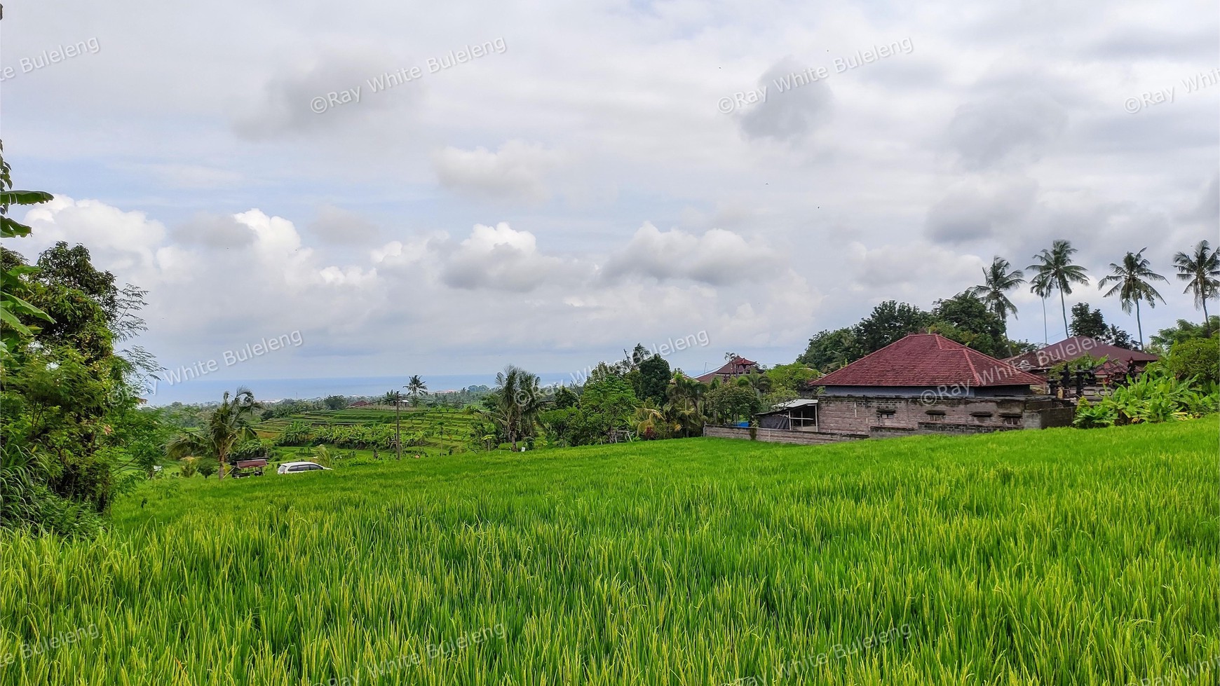 FREEHOLD OCEAN VIEW LAND IN LOVINA