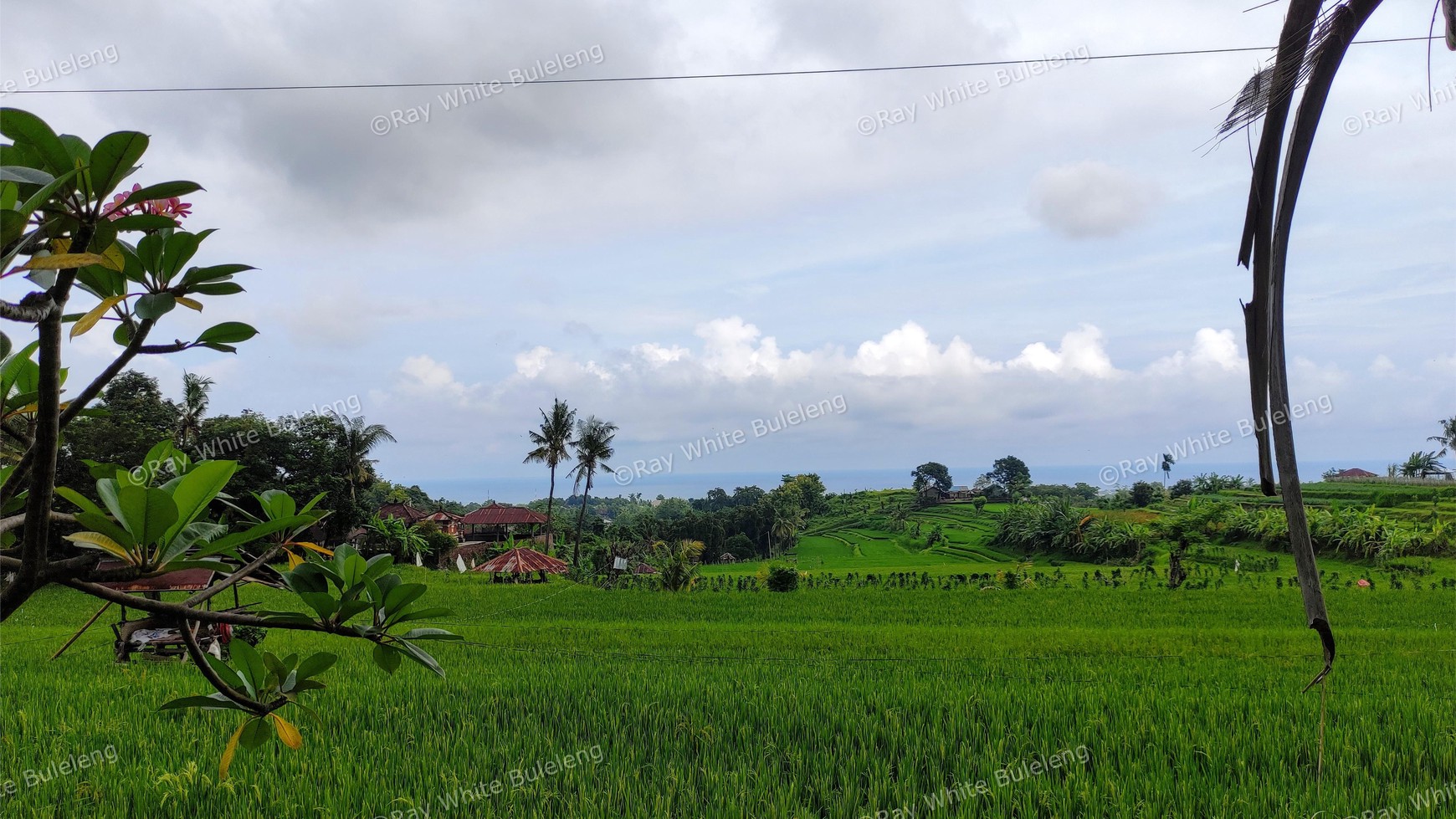 FREEHOLD OCEAN VIEW LAND IN LOVINA