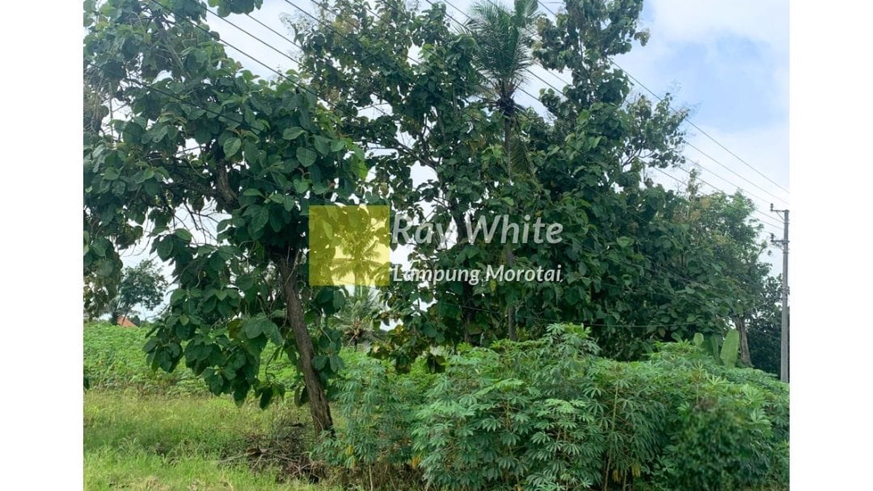 Di Jual Tanah Datar dan startegis ay