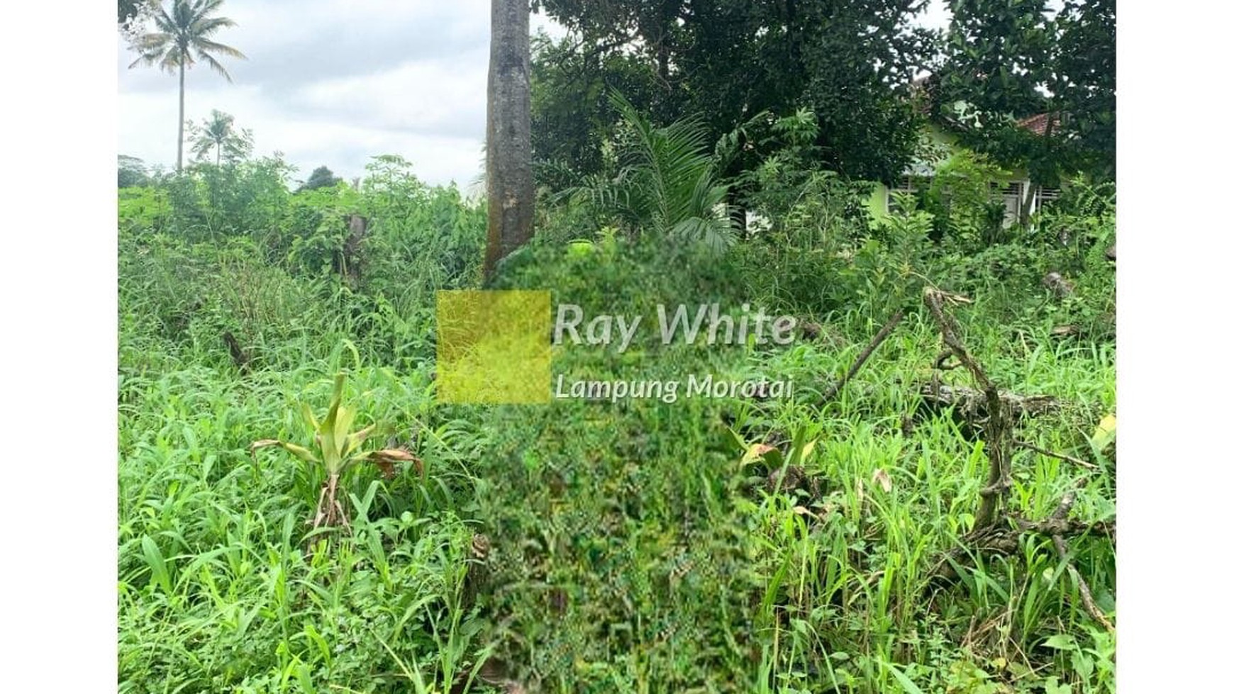 Di Jual Tanah Datar dan startegis ay