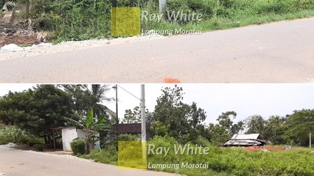 Dijual tanah di Jati Agung di pinggir jalan aspal ay