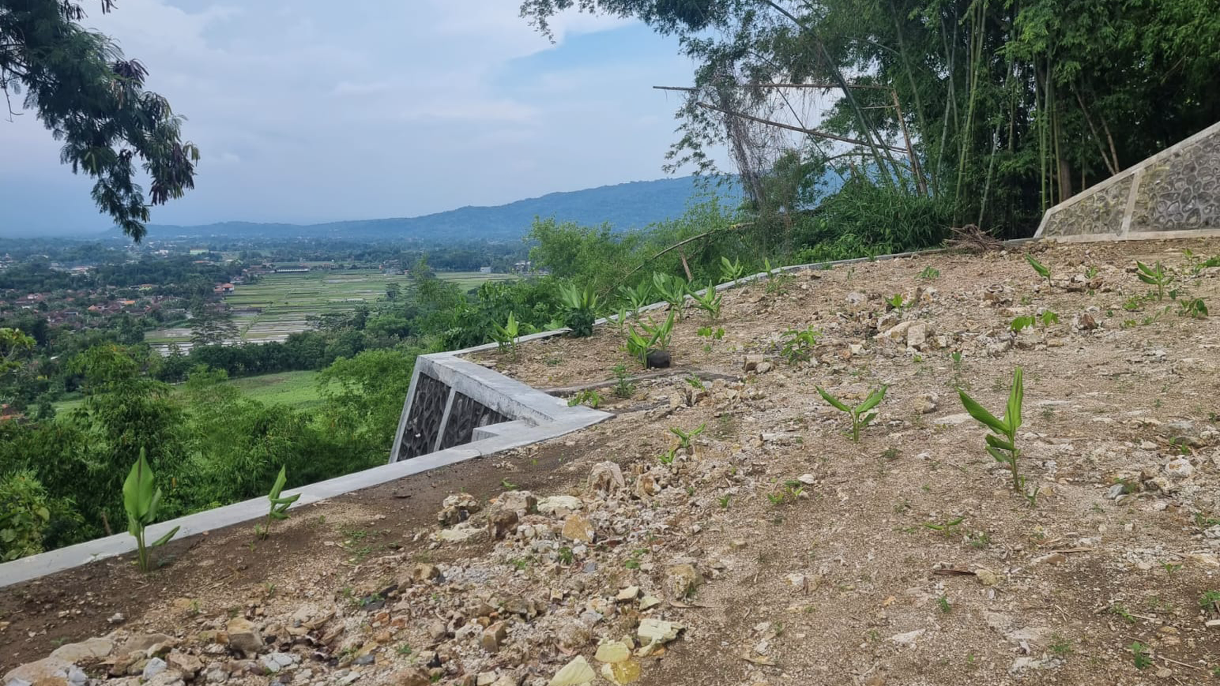 Tanah 1824 Meter Diarea Bukit Bintang piyungan Bantul