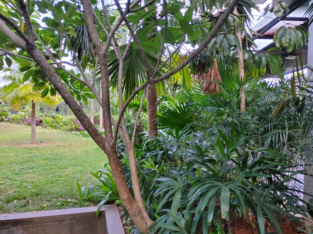 Rumah Baru Minimalis dekat Patra  Kuningan Lokasi Strategis, Jakarta Selatan..