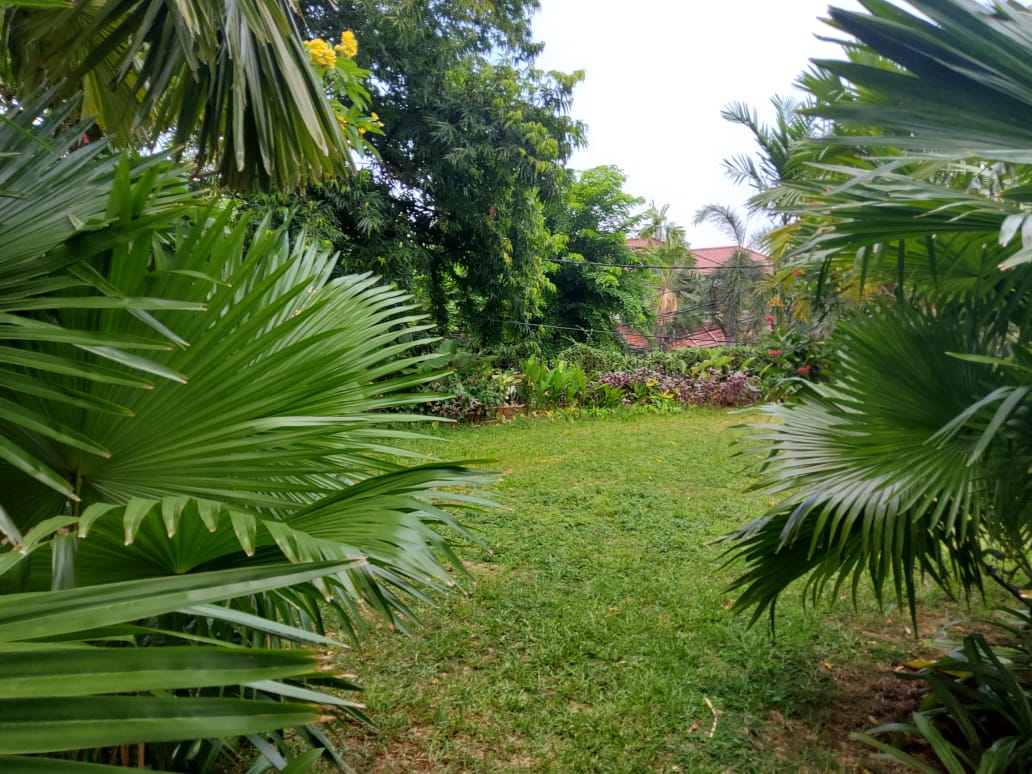 Rumah Baru Minimalis dekat Patra  Kuningan Lokasi Strategis, Jakarta Selatan..