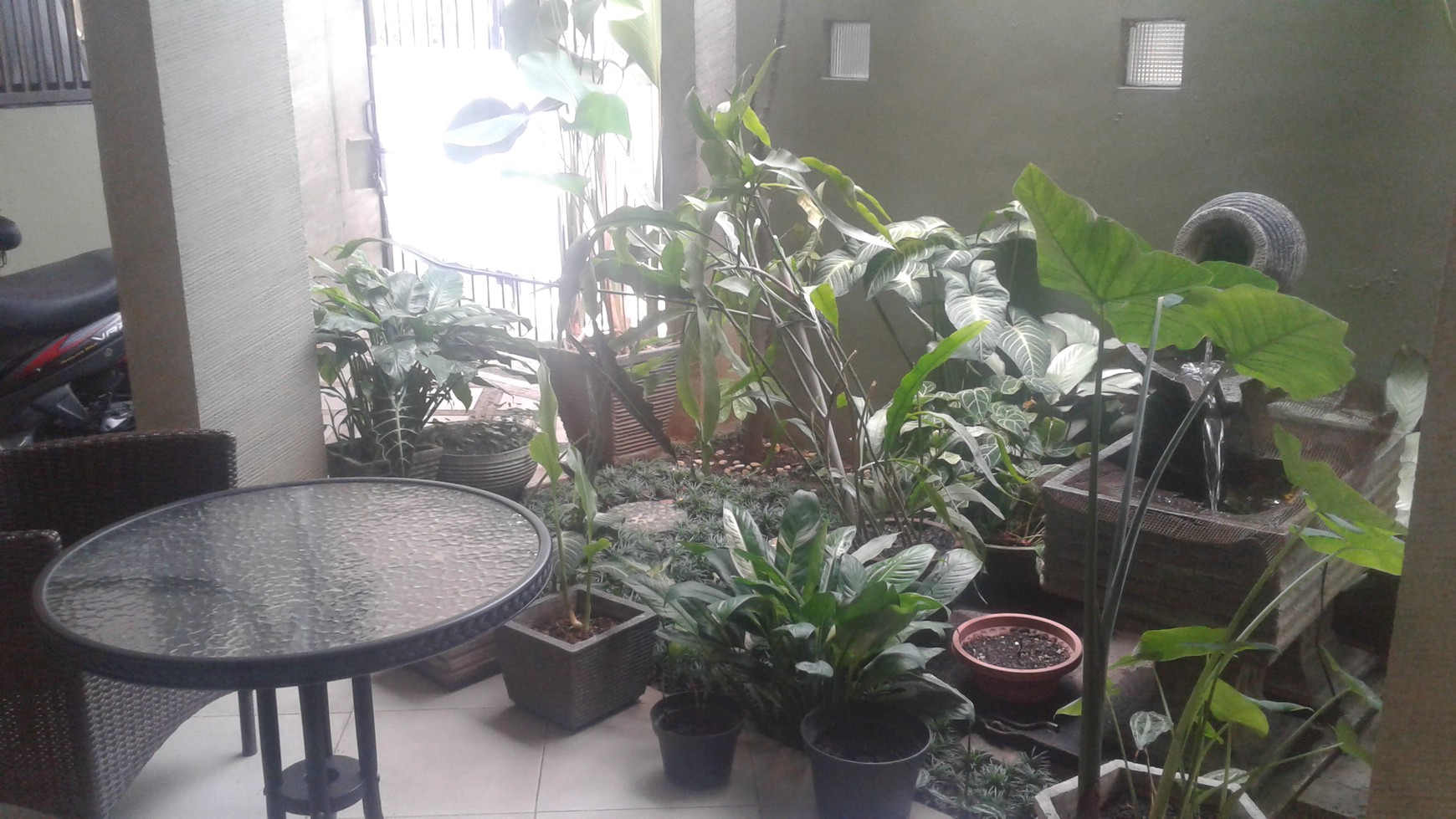Rumah di Pisok Bintaro