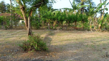 200 M2 Land Located In The West Of Buleleng